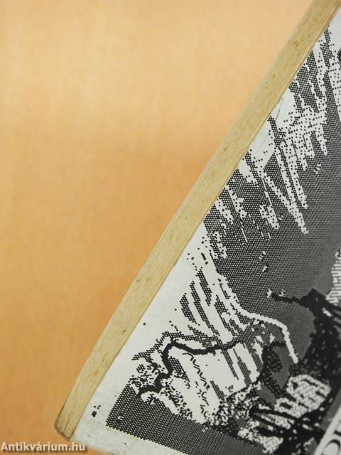 A depresszió kognitív-viselkedésterápiája (dedikált példány)