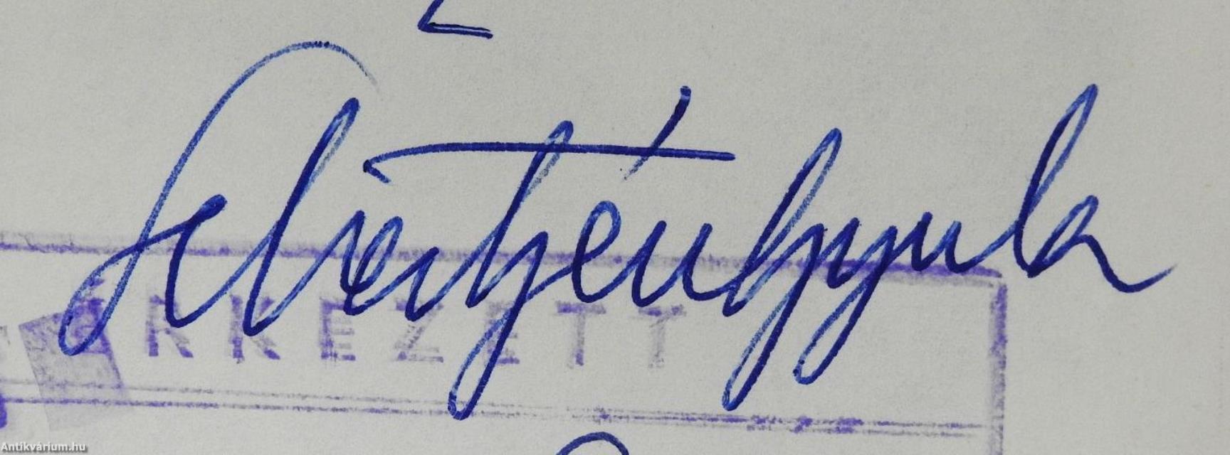 Építőipar IV. (dedikált példány)
