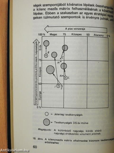 A vállalatvezetés portfolió módszere (dedikált példány)