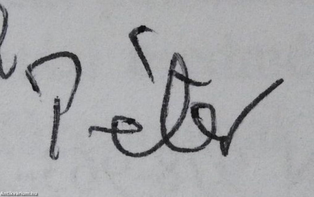 Az Egri Főegyházmegyei Könyvtártól a Líceumig (dedikált példány)