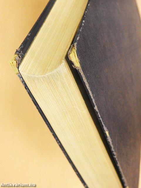 Illustrierte Kunstgeschichte I-II. (gótbetűs)