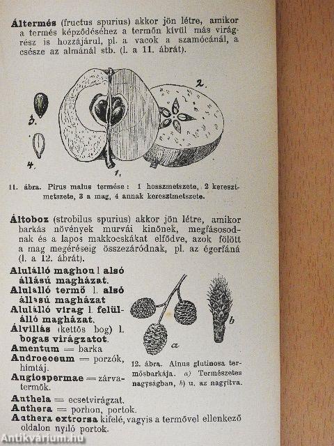 A növénytani kifejezések betürendes ismertetése