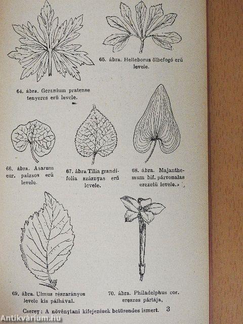 A növénytani kifejezések betürendes ismertetése