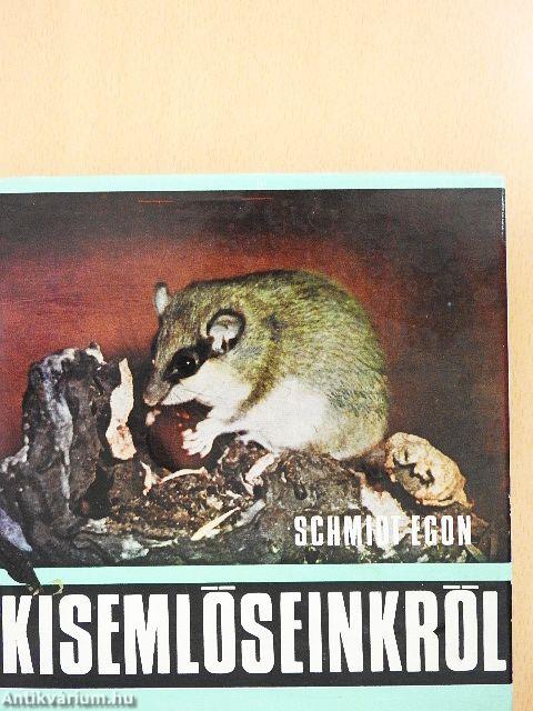Kisemlőseinkről