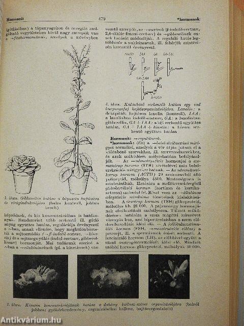 Természettudományi lexikon 7.