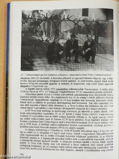 Egy cseppnyi Magyarország