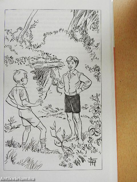 Kányadombi indiánok