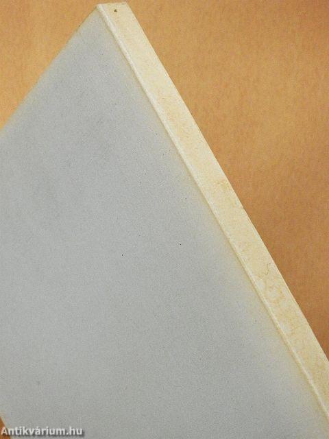 Múzeumi kutatások Csongrád megyében 1981