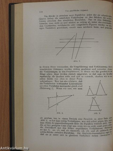Naturgeschichte der Seele und ihres Bewusstwerdens