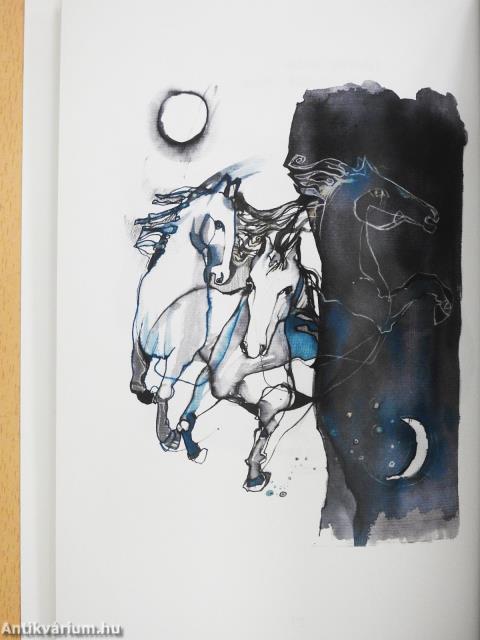 Százharminc haiku (dedikált példány)