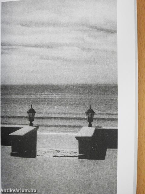 Kaktusz és szomorúfűz (dedikált példány)