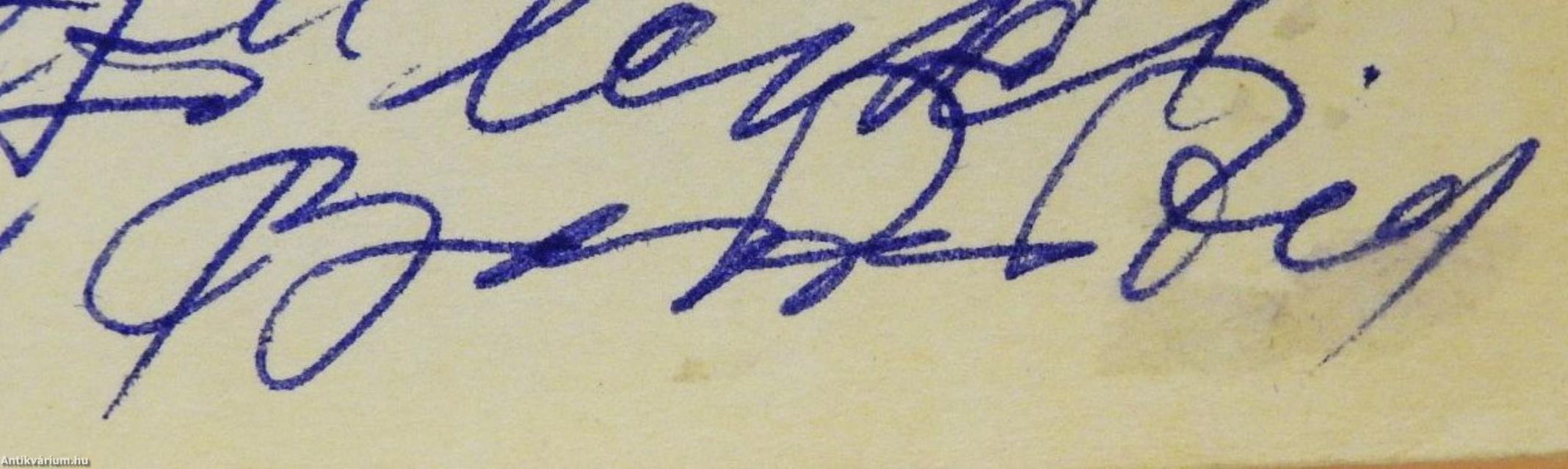 Rovások az idő mestergerendáján (dedikált példány)