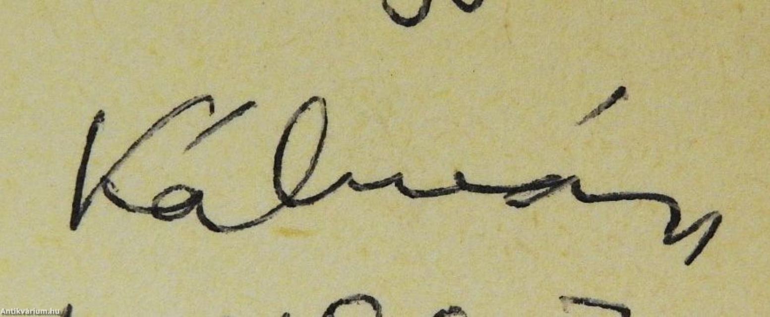 A hajós hazatérése (dedikált példány)