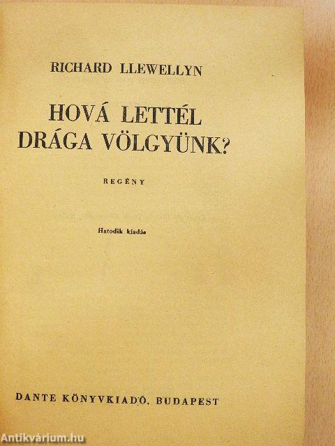 Hová lettél drága völgyünk?