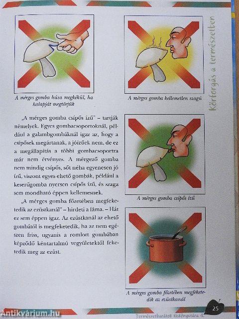 Körforgás a természetben