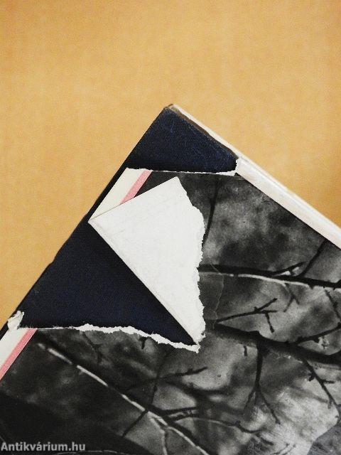 Kísérleti dramaturgia I-II.