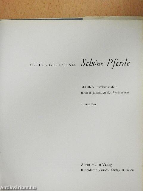 Schöne Pferde