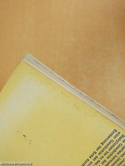 Das Porträt der Erde