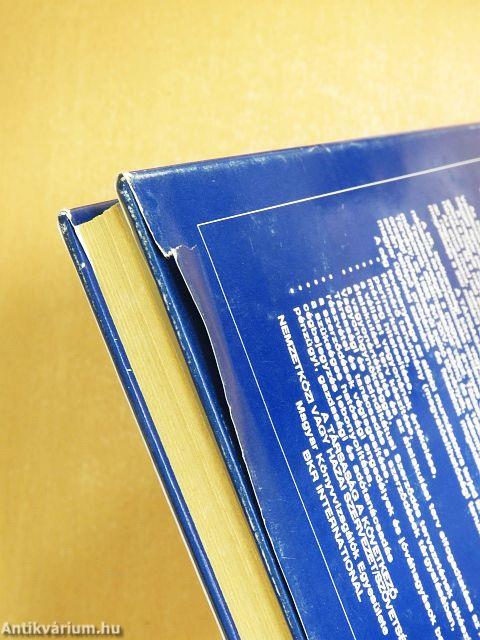 Vállalkozások értékelése