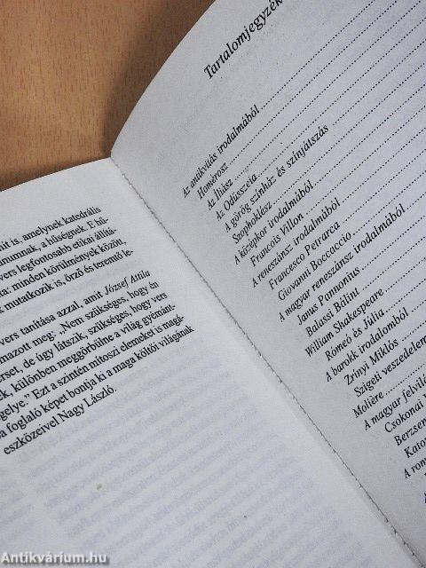 Érettségi témakörök irodalomból