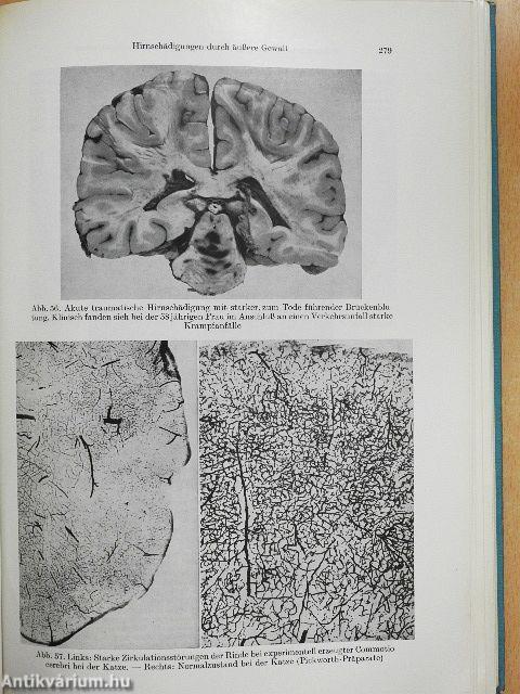 Lehrbuch der Psychiatrie