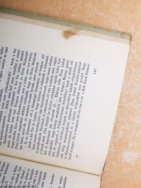 Afrikából jöttek...