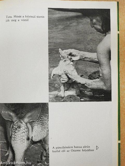 Emberek az esőerdőben