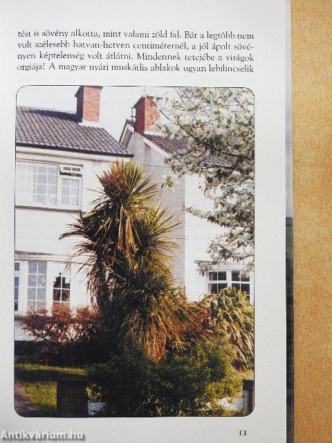 Írországi napsugarak