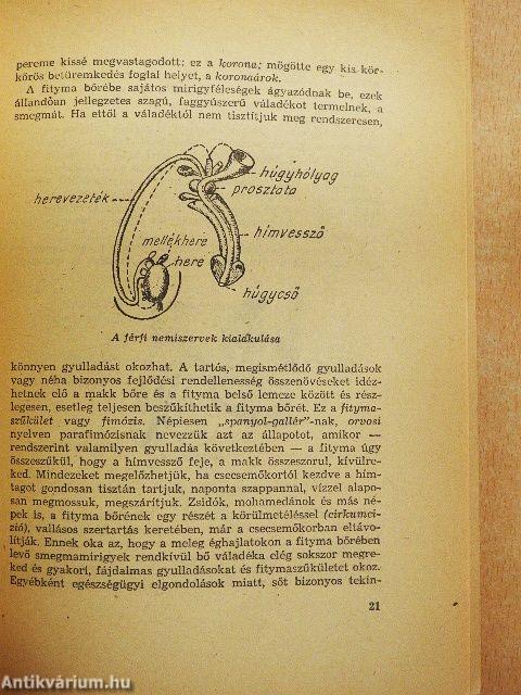 A nemi élet kérdései