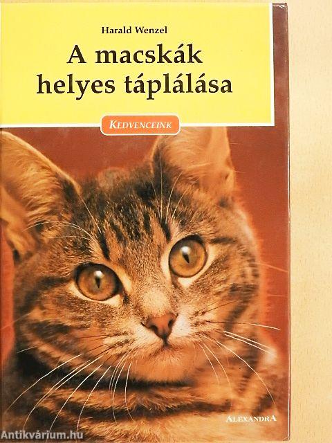 A macskák helyes táplálása