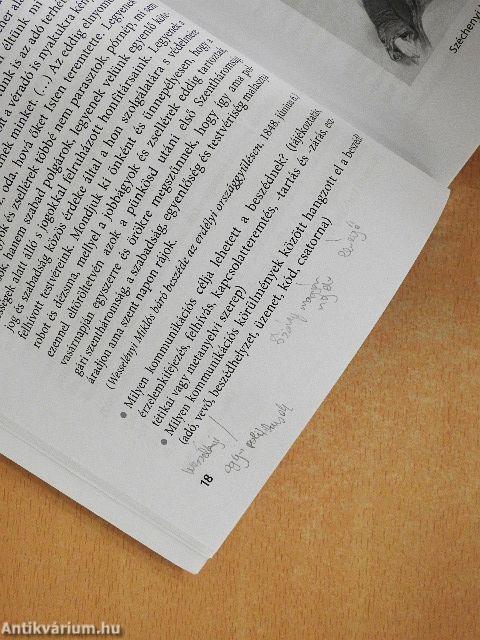 Magyar nyelv és kommunikáció 11. - Munkafüzet