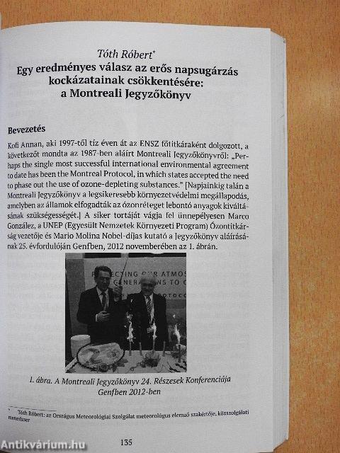 A Nap szerepe a társadalom életében