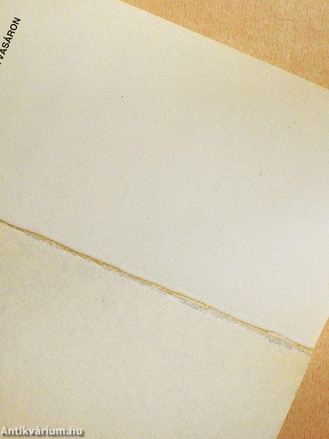 Gyilkosság a könyvvásáron