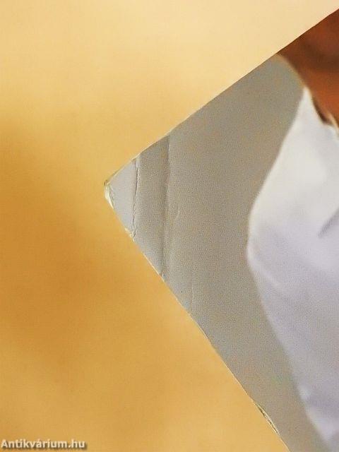 A főorvos macskája