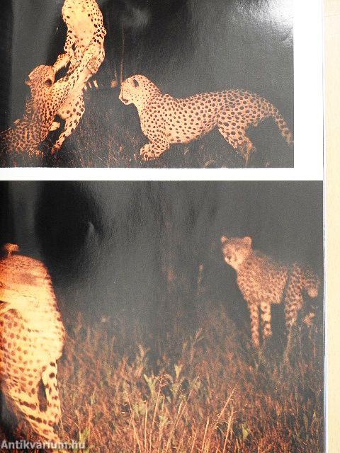 National Geographic December 1999