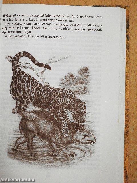 Fogakkal és karmokkal