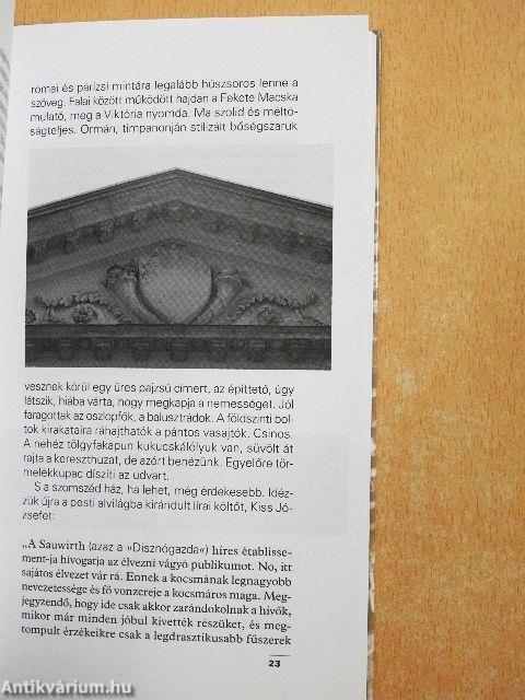 A Király utcán végestelen-végig