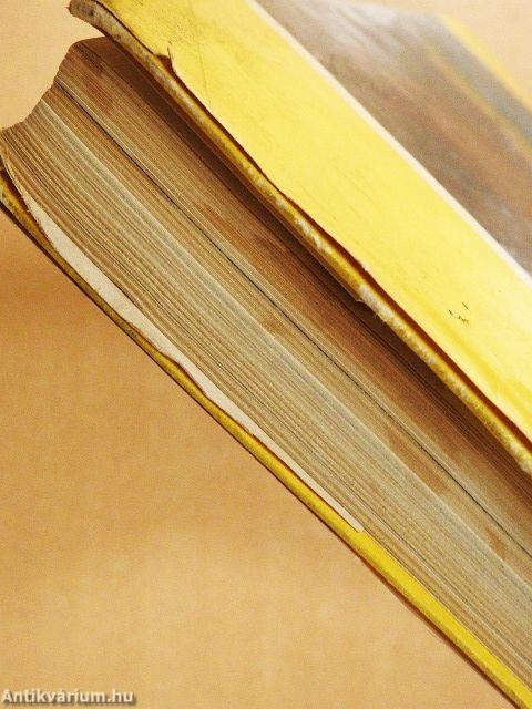 Öszvérrel Etiópiában