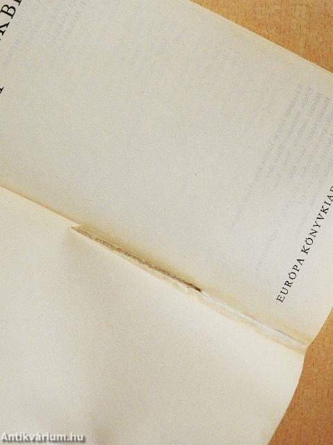 A város a hegyekbe megy