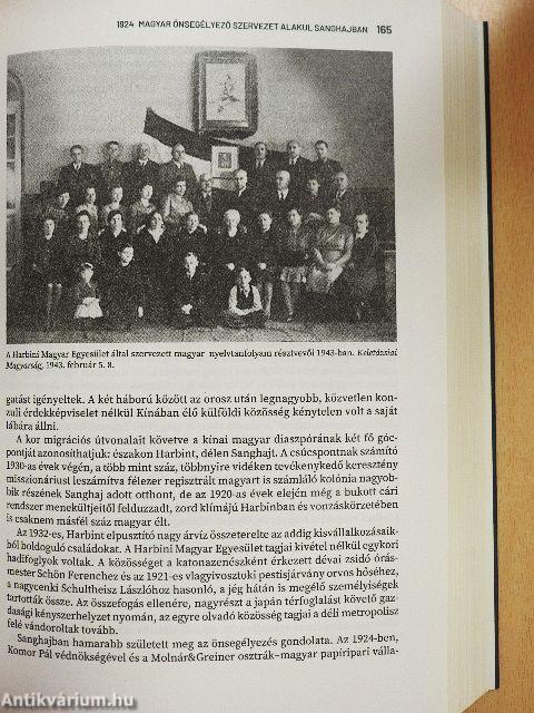 Magyarország globális története 1869-2022