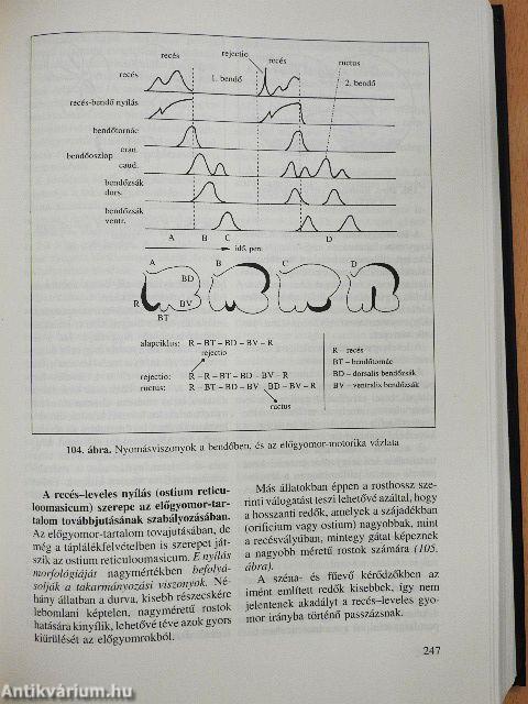 Az állatorvosi élettan alapjai