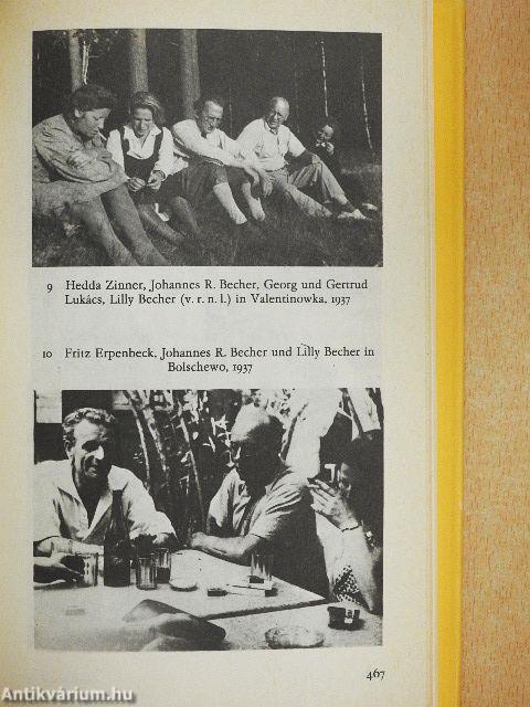 Auf dem roten Teppich