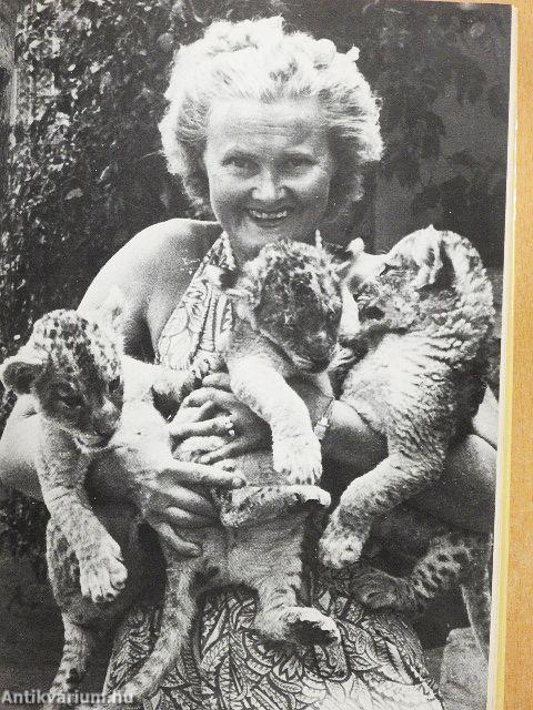 Oroszlánok között