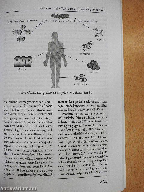 Magyar Tudomány 2013/6.