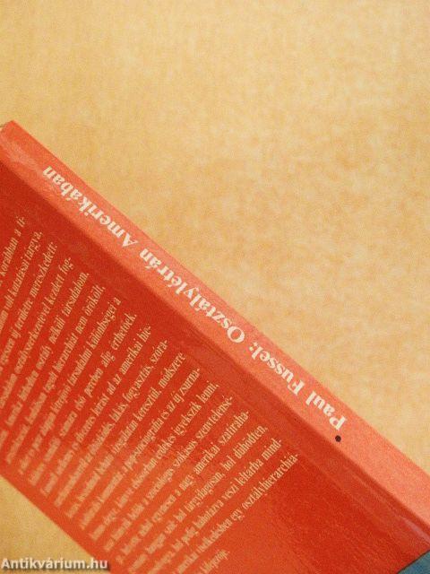 Osztálylétrán Amerikában