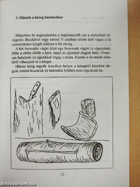 Játékszertár - Növények, magvak, kavicsok alkalmazása