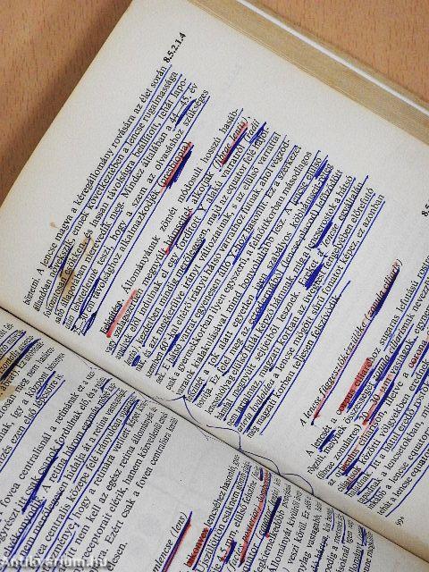 Functionalis anatomia 3.