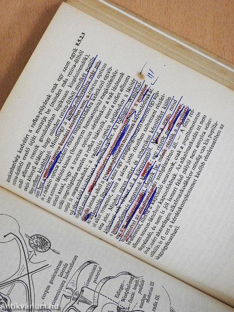Functionalis anatomia 3.