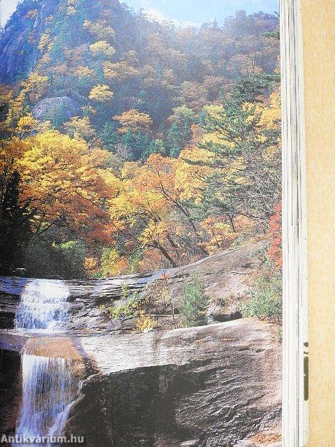 A Guide to Korean Cultural Heritage