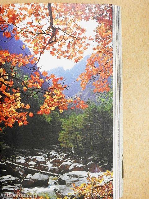 A Guide to Korean Cultural Heritage